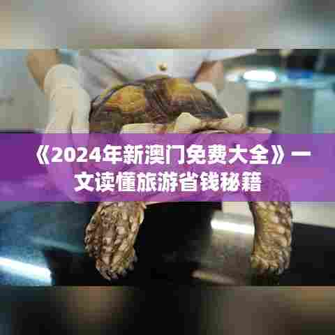 《2024年新澳门免费大全》一文读懂旅游省钱秘籍