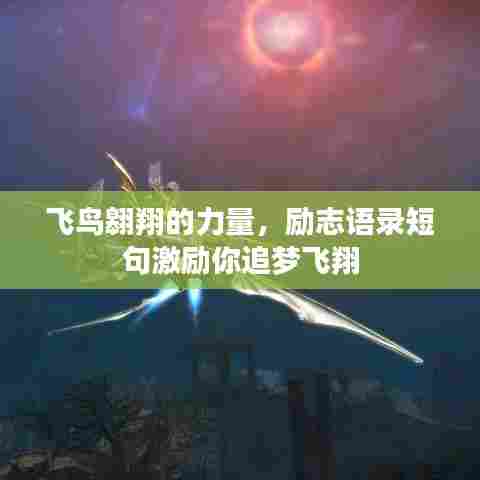 飞鸟翱翔的力量，励志语录短句激励你追梦飞翔