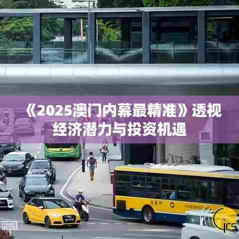 《2025澳门内幕最精准》透视经济潜力与投资机遇