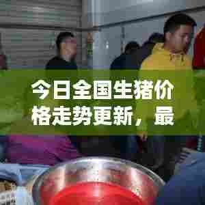 今日全国生猪价格走势更新，最新动态一网打尽！