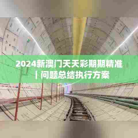 2024新澳门天天彩期期精准｜问题总结执行方案