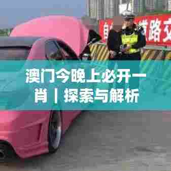 澳门今晚上必开一肖｜探索与解析