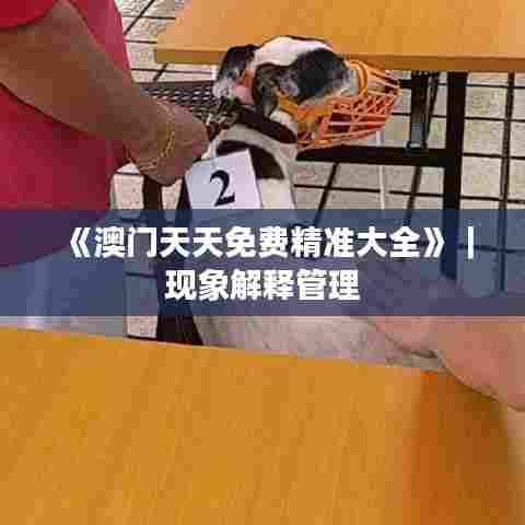 《澳门天天免费精准大全》｜现象解释管理