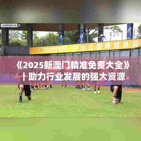 《2025新澳门精准免费大全》｜助力行业发展的强大资源