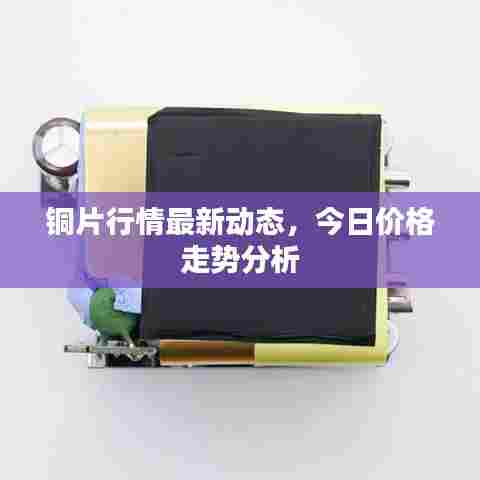 铜片行情最新动态，今日价格走势分析
