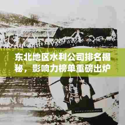 东北地区水利公司排名揭秘，影响力榜单重磅出炉！