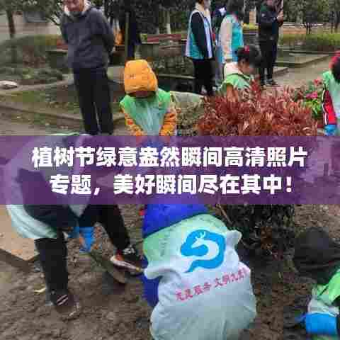 植树节绿意盎然瞬间高清照片专题，美好瞬间尽在其中！