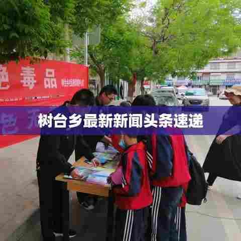 树台乡最新新闻头条速递