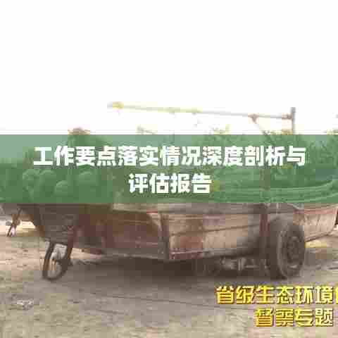 工作要点落实情况深度剖析与评估报告