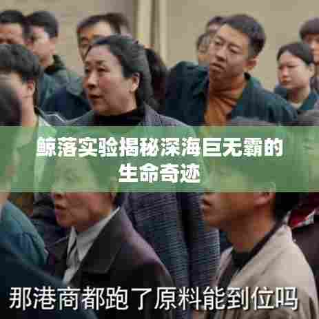 鲸落实验揭秘深海巨无霸的生命奇迹