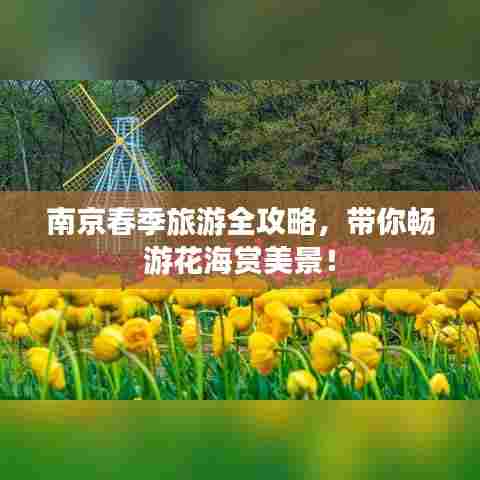 南京春季旅游全攻略，带你畅游花海赏美景！