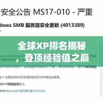 全球XP排名揭秘，登顶经验值之巅的奥秘之旅