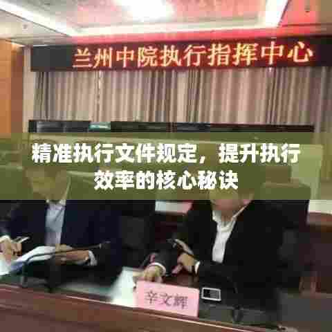 精准执行文件规定，提升执行效率的核心秘诀