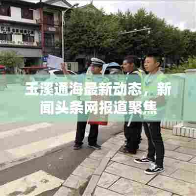 玉溪通海最新动态，新闻头条网报道聚焦