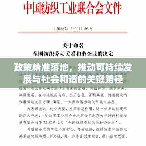 政策精准落地，推动可持续发展与社会和谐的关键路径