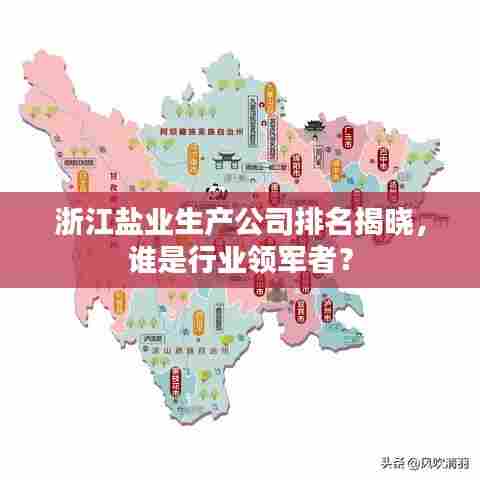 浙江盐业生产公司排名揭晓，谁是行业领军者？