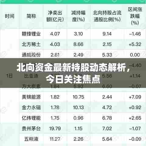 北向资金最新持股动态解析，今日关注焦点