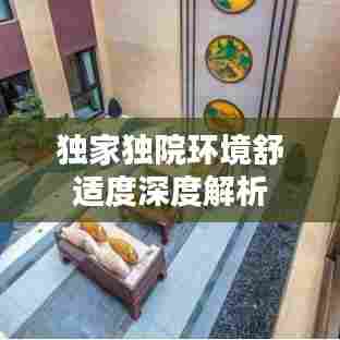 独家独院环境舒适度深度解析
