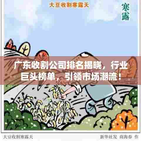 广东收割公司排名揭晓，行业巨头榜单，引领市场潮流！