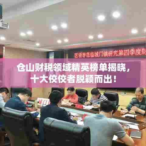 仓山财税领域精英榜单揭晓，十大佼佼者脱颖而出！