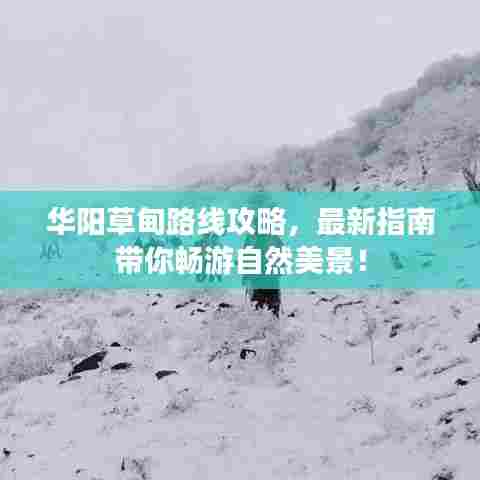 华阳草甸路线攻略，最新指南带你畅游自然美景！