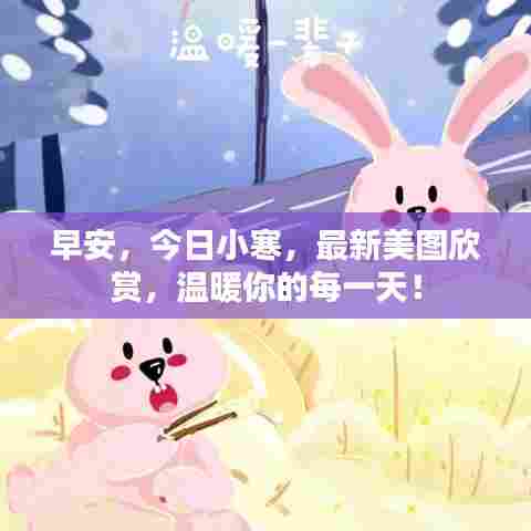 早安，今日小寒，最新美图欣赏，温暖你的每一天！