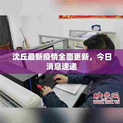 沈丘最新疫情全面更新，今日消息速递