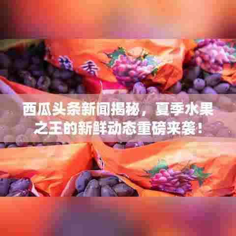 西瓜头条新闻揭秘，夏季水果之王的新鲜动态重磅来袭！