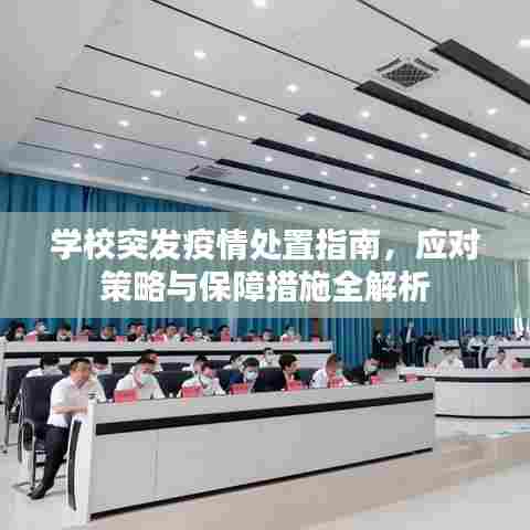 学校突发疫情处置指南，应对策略与保障措施全解析