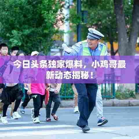 今日头条独家爆料，小鸡哥最新动态揭秘！