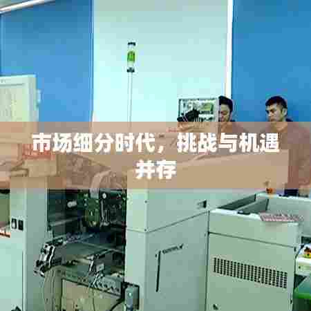 市场细分时代，挑战与机遇并存