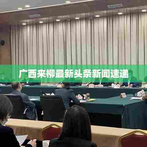 广西来柳最新头条新闻速递