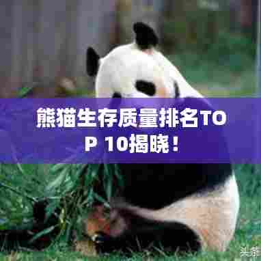 熊猫生存质量排名TOP 10揭晓！