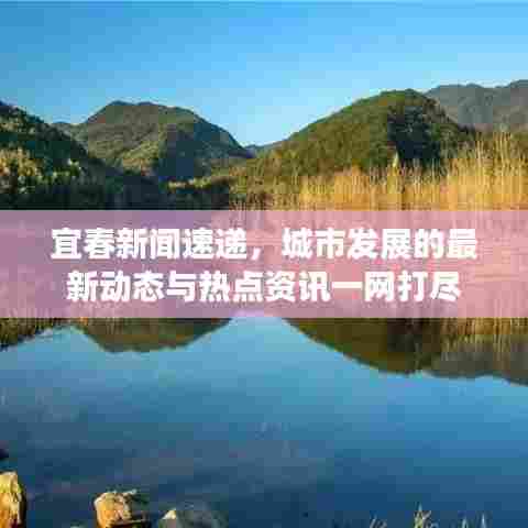 宜春新闻速递，城市发展的最新动态与热点资讯一网打尽
