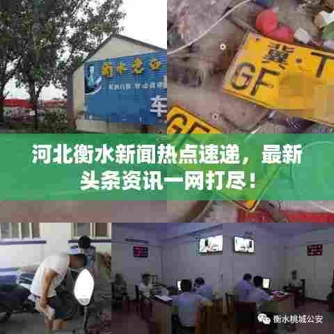 河北衡水新闻热点速递，最新头条资讯一网打尽！