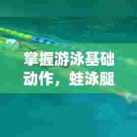 掌握游泳基础动作，蛙泳腿专题练习全攻略