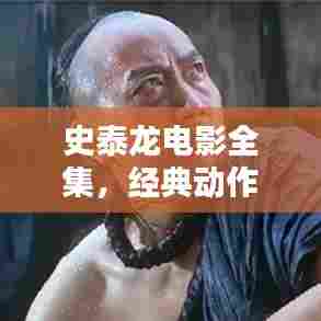 史泰龙电影全集，经典动作片百度收录，不容错过！