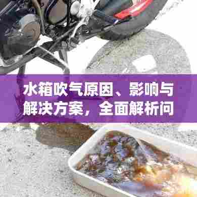 采椽不斫 第5页