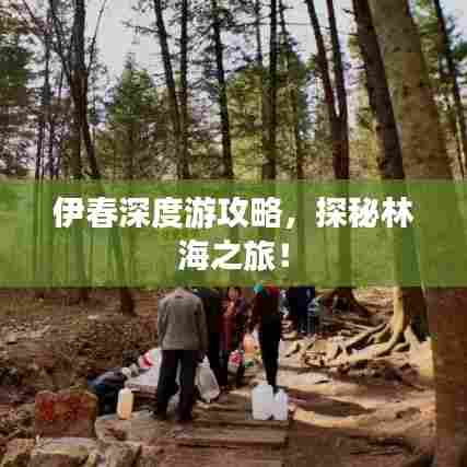 伊春深度游攻略，探秘林海之旅！