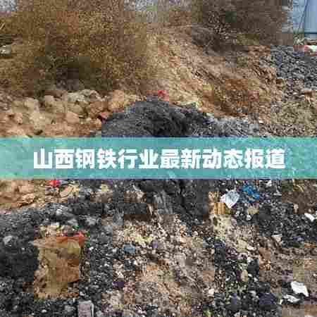 山西钢铁行业最新动态报道