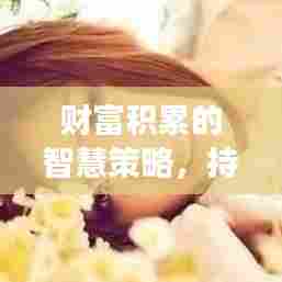 财富积累的智慧策略，持续增长的财富之路