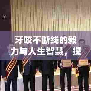 牙咬不断线的毅力与人生智慧，探寻坚韧不拔的力量之源