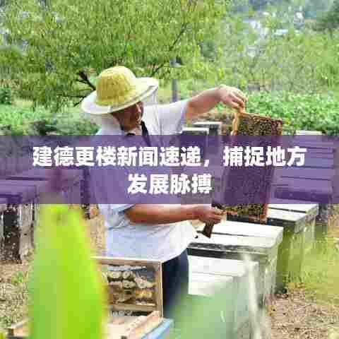 建德更楼新闻速递，捕捉地方发展脉搏