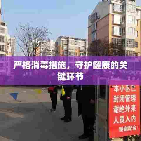 严格消毒措施，守护健康的关键环节