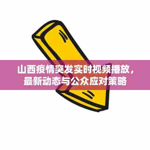 山西疫情突发实时视频播放，最新动态与公众应对策略