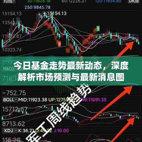 今日基金走势最新动态，深度解析市场预测与最新消息图