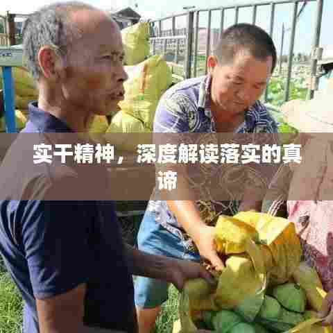 实干精神，深度解读落实的真谛