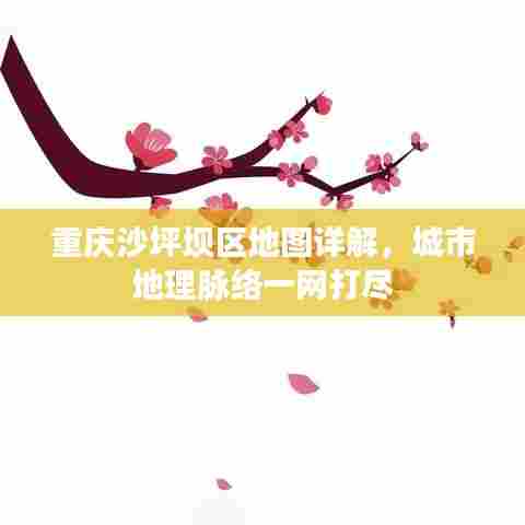 重庆沙坪坝区地图详解，城市地理脉络一网打尽