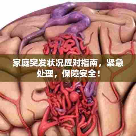 家庭突发状况应对指南，紧急处理，保障安全！