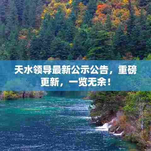 天水领导最新公示公告，重磅更新，一览无余！